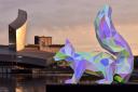 Catch glimpse of illuminated animals from the Netherlands taking refuge at the Quays