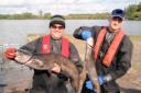 Six huge catfish removed from Sale Water Park