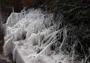 THIS picture of icicles was taken near the entrance to Dunham Massey by Bob Sweet.