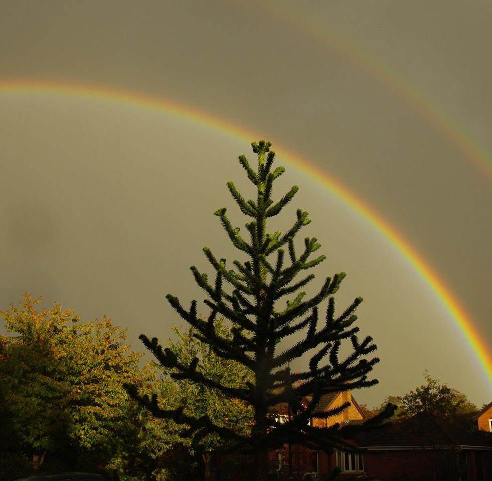 A double rainbow by David Beck
