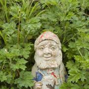 Join our Easter Gnome hunt