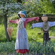 Fun is all ‘sown-up’ at Quarry Bank Mill Garden