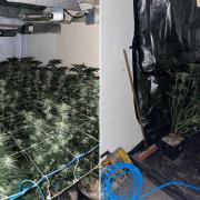 A cannabis farm was discovered in Trafford