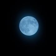Blue Moon in Sale. Picture: Alan Homersham