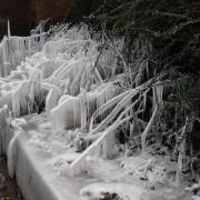 THIS picture of icicles was taken near the entrance to Dunham Massey by Bob Sweet.