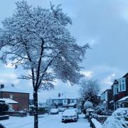 Gouri Banerjee took this picture of her street during last week's snow