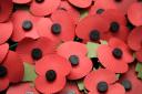 Poppy appeal is launched today
