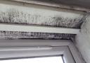 Evidence of damp and mould from a property on the Broomwood estate in Timperley