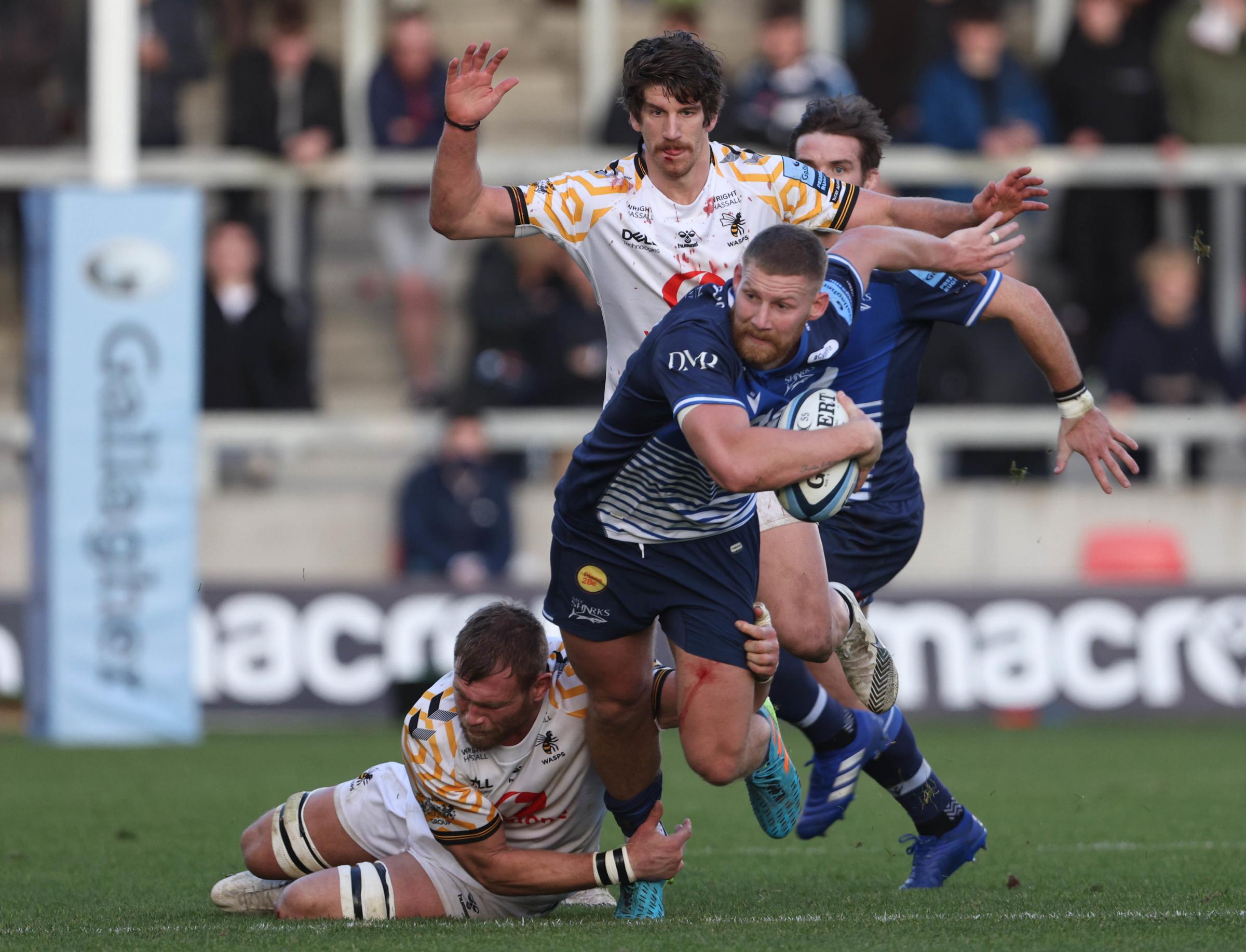 Sharks sting Wasps to leapfrog them up the table
