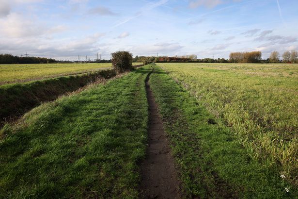 A public right of way on Carrington Moss (Image: Anthony Moss)