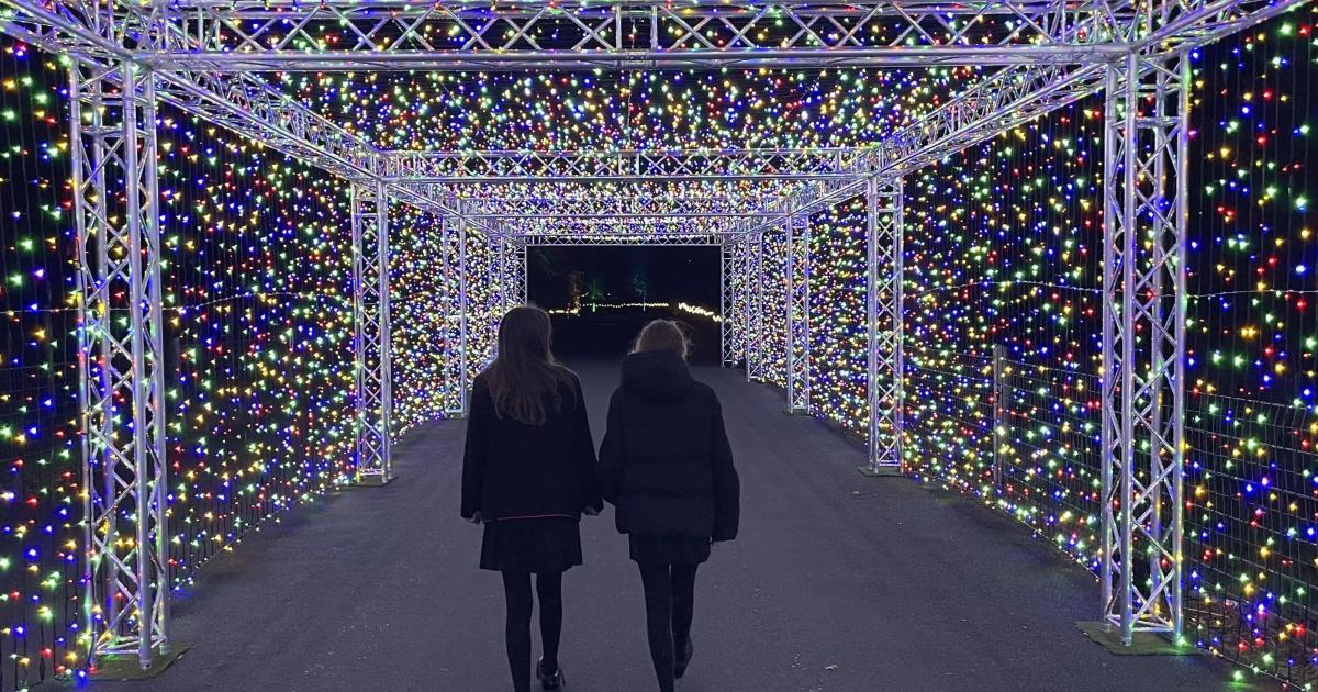 Zoo unveils winter lights display with glowing see-saws and 500,000 bulbs - Vimarsana News