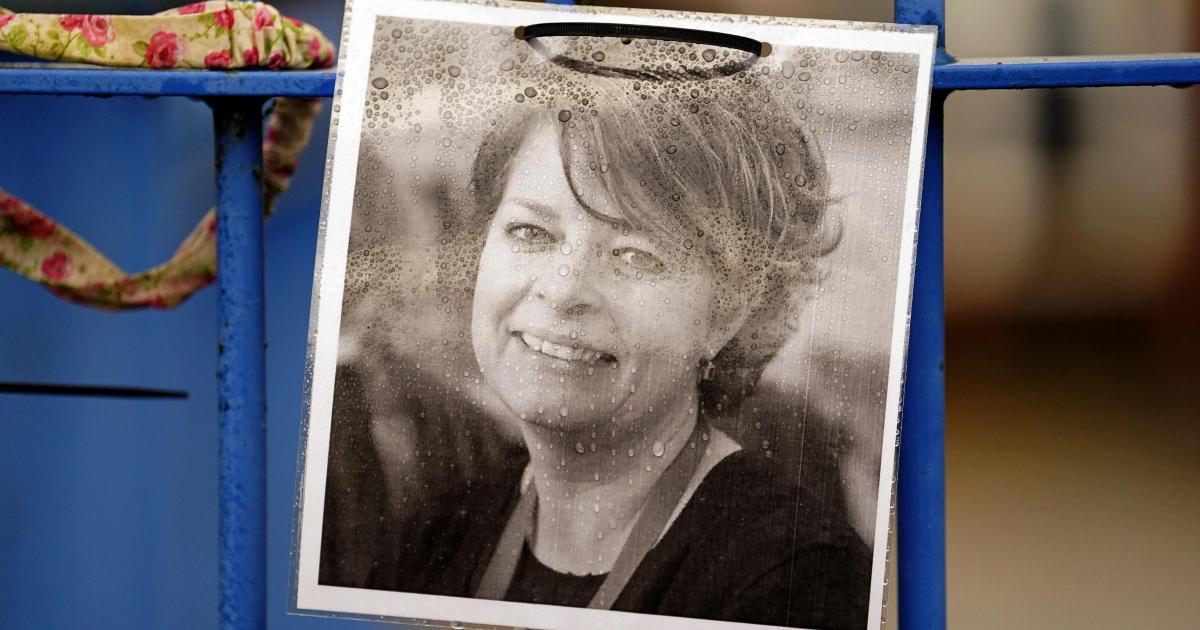 Ofsted reform delays 'put more lives at risk', Ruth Perry's sister will warn - Vimarsana News