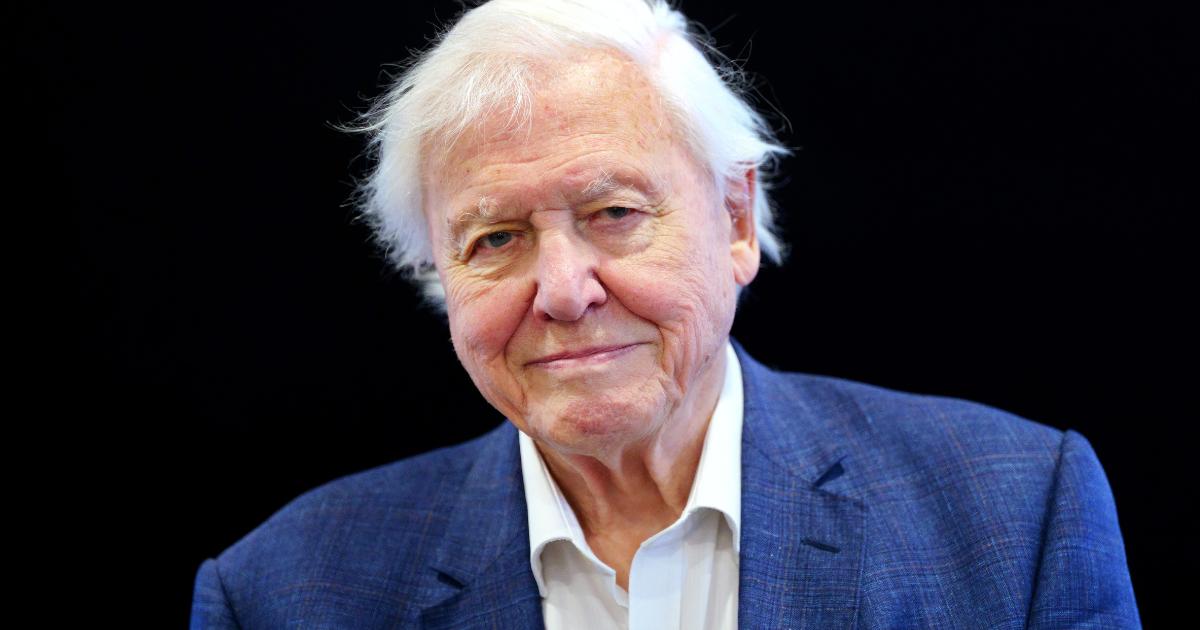 BBC's Mammals: How to watch David Attenborough's new series - Vimarsana News