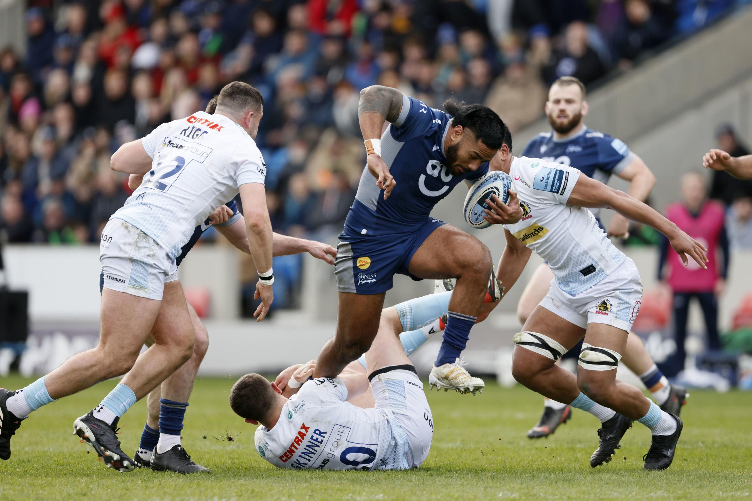 Curry excited after Sale  Sharks reignite play-off hopes