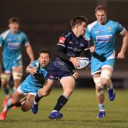 Sale's AJ MacGinty in action against Worcester