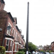 Lynwood Grove in Sale. Where a new telegraph pole is causing controversy