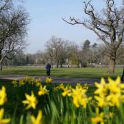 This weekend is set to be one of the warmest of the year so far