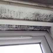 Evidence of damp and mould from a property on the Broomwood estate in Timperley