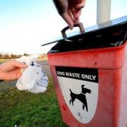 Those leaving their dog poo can be fined up to £1,000